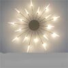0b7c1197-0a8a-423d-aa44-084da8bb9023.jpg Ceiling Room Lights With Special Iron Decoration
