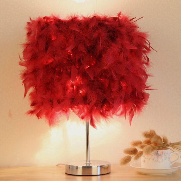 2067698855036.jpg Feather bedroom cute girly night light