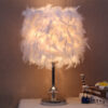 328981675401.jpg Feather bedroom cute girly night light