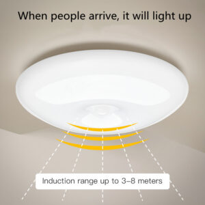 344845a1-0f2e-4cc4-acfa-ae87c880392e.jpg Human Induction Ceiling Lamp Infrared Garage Lamp Cloakroom Balcony Lamp Rechargeable For Easy Installation
