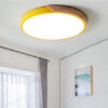 4a4f265d-bd8e-4037-ac35-6144f4f13783.jpg Led Ceiling Light Macaron Round Bedroom Light