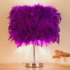 540914507727.jpg Feather bedroom cute girly night light