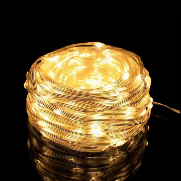 58ef47c2-9d59-4855-8192-011f52283ed2.jpg Christmas LED Leather Wire Light String Low Voltage 24v Light String Solar Light String Home Decor