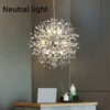 595356fb-0f70-4803-95c3-363a9e1dda6e.jpg Dandelion Crystal Chandelier Restaurant Bedroom Clothing Shop Lighting