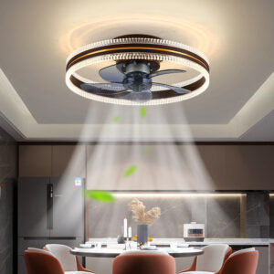 e55570c9-f6c5-44cb-9793-50946674d683.jpg Ceiling Fan Home Integrated Invisible Ceiling Fan Light